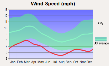 Fort McCoy-Anthony, Florida wind speed