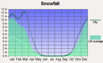 Springerville, Arizona snowfall
