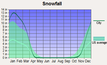 Brookline, Massachusetts snowfall