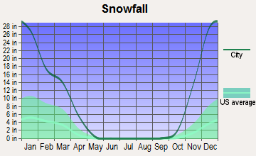 Mackinaw City, Michigan snowfall