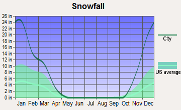 Canadian Lakes, Michigan snowfall