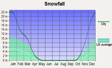 Breedsville, Michigan snowfall