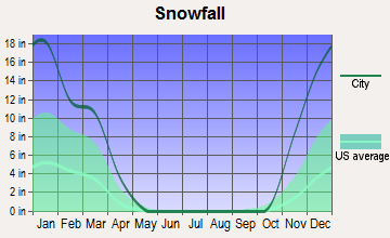 Weidman, Michigan snowfall