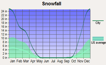 Pellston, Michigan snowfall