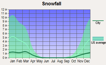 Reservation, Arizona snowfall