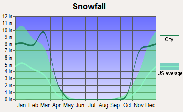 Lamberton, Minnesota snowfall