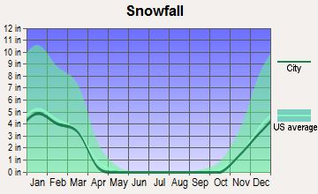 Willow Springs, Missouri snowfall