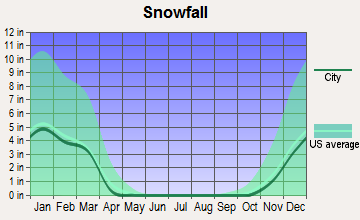 Desloge, Missouri snowfall