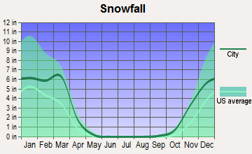 Howard City, Nebraska snowfall