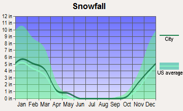 Fallon, Nevada snowfall