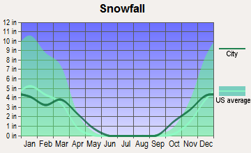 Kirtland, New Mexico snowfall