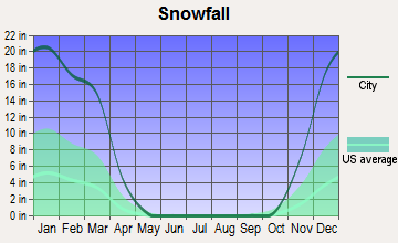 Afton, New York snowfall