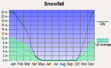 Belmont, New York snowfall