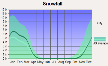 Mastic Beach, New York snowfall