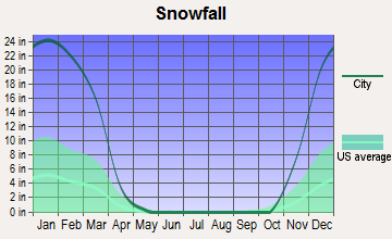 Newark, New York snowfall