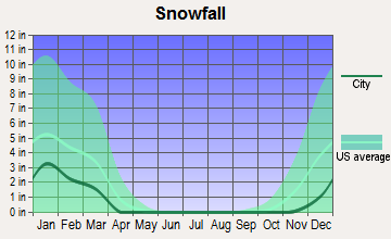 Denton, North Carolina snowfall