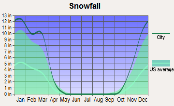 Leetonia, Ohio snowfall