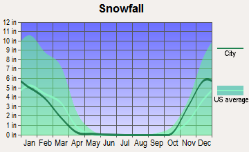Bend, Oregon snowfall