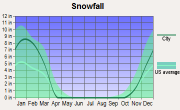 New Freedom, Pennsylvania snowfall
