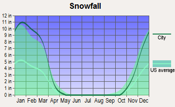 Shenandoah, Pennsylvania snowfall