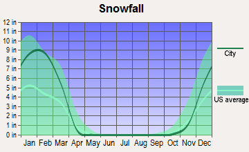 Silverdale, Pennsylvania snowfall