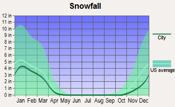 Slater-Marietta, South Carolina snowfall