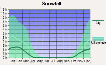 Brownfield, Texas snowfall