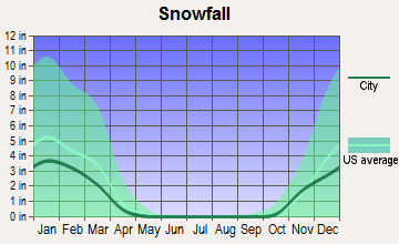 Hereford, Texas snowfall