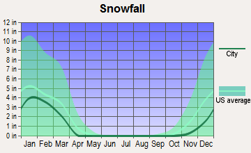 Clarksville, Virginia snowfall