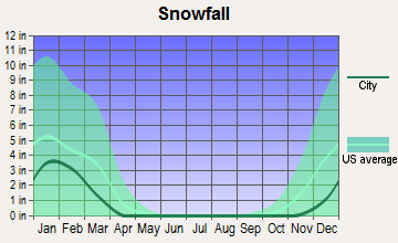Courtland, Virginia snowfall