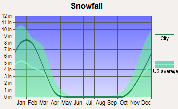 Fairlawn, Virginia snowfall
