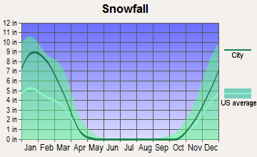 Goshen, Virginia snowfall