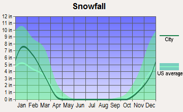 Herndon, Virginia snowfall