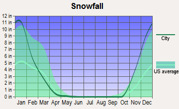 West Clarkston-Highland, Washington snowfall