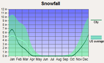 East Seattle, Washington snowfall