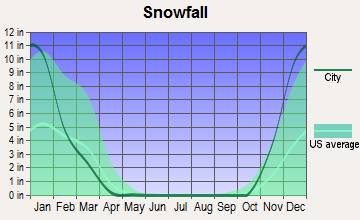 Pateros, Washington snowfall