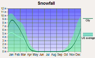 Williamson, West Virginia snowfall
