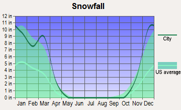 New Diggings, Wisconsin snowfall