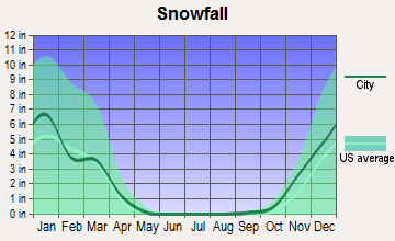 Fruitvale, Colorado snowfall