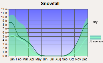 Jerome, Idaho snowfall