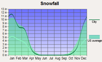 Libertyville, Illinois snowfall