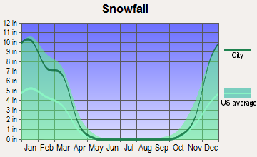 Millington, Illinois snowfall
