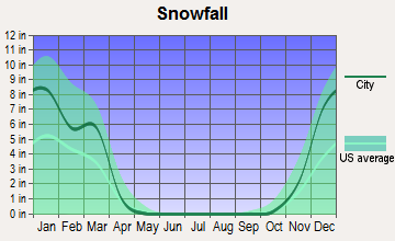 Rapids City, Illinois snowfall