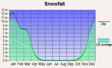 Gurnee, Illinois snowfall