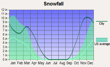 Newtok, Alaska snowfall