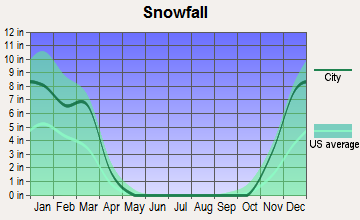 Walford, Iowa snowfall