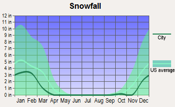 Benton, Kentucky snowfall