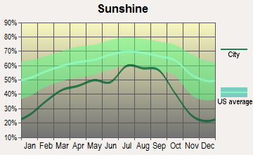 Rochester, Washington sunshine