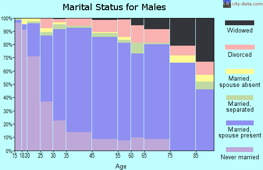 Zip code 00601 marital status for males