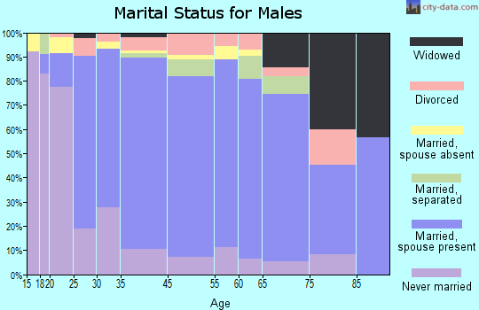 Zip code 00606 marital status for males